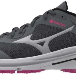 Mizuno Wave Rider GTX Shoes Women, Grå